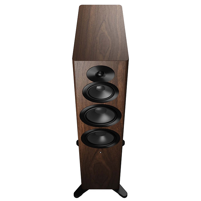 Напольная акустика Dynaudio Focus 50 Walnut Wood - рис.3