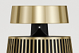 Акустическая система Bang & Olufsen BeoSound 2 Brass Tone - рис.9