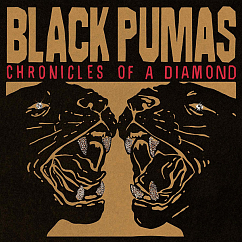 Виниловая пластинка Black Pumas – Chronicles Of A Diamond LP (Clear)