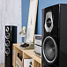 Напольная акустика Sonus Faber Sonetto III Wenge - рис.4