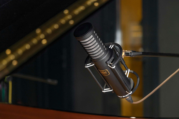 Микрофон студийный HUM Audio Devices ARM-1S - рис.1