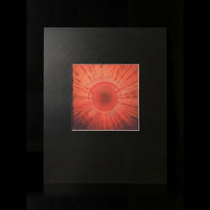 Бокс-сет Vinyl Vision 3000 - Incognito (Inside Out) (box) LP - рис.2