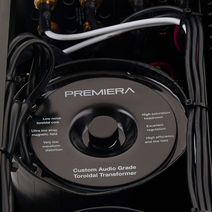 Интегральный усилитель Premiera A5 AXIOM Golden Black - рис.7
