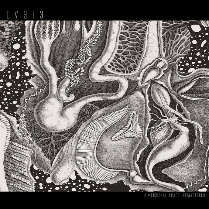 Виниловая пластинка CV313 - Dimensional Space (Remastered) (coloured) - 3LP - рис.0