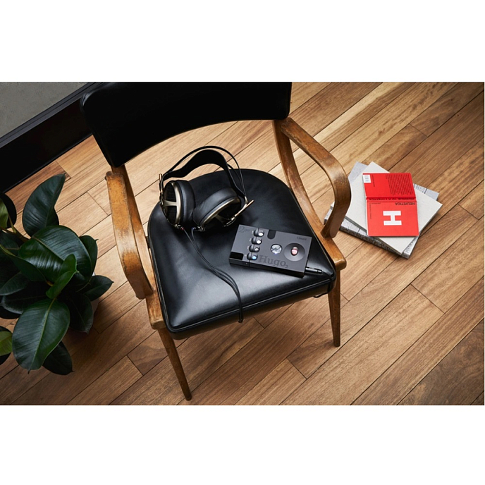 ЦАП Chord 2Go Black - рис.7