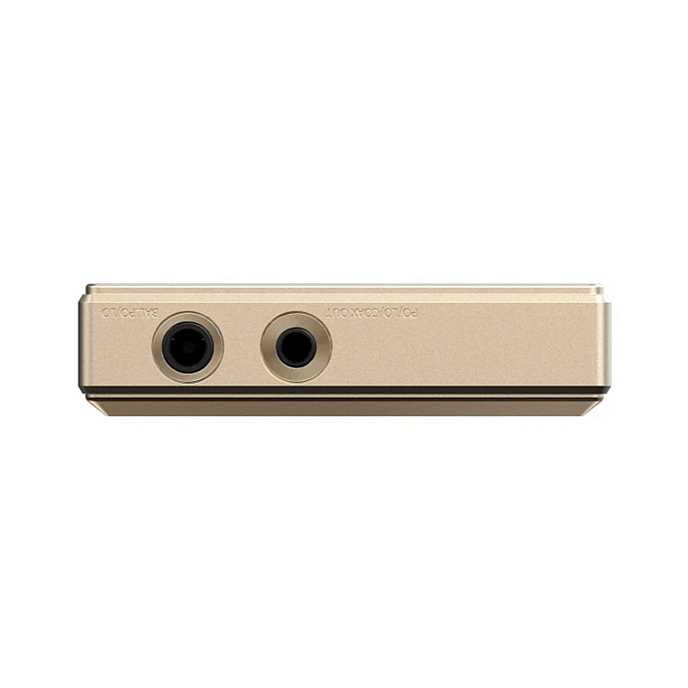 Комплект Focal Hadenys Brown + FiiO M21 Titanium Gold - рис.16
