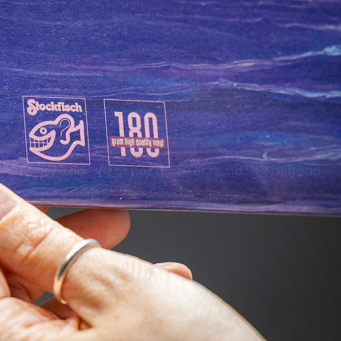 Пластинка Steve Folk – Departure LP - рис.3