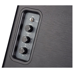 Полочная акустика Premiera ES-401A Black