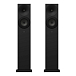 Напольная акустика Amphion Argon3LS Black - рис.0