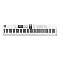 Arturia KeyLab Essential 88 mk3 White