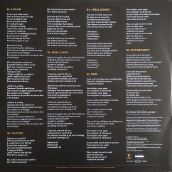 Виниловая пластинка The Cranberries - Everybody Else Is Doing It, So Why Can't We?