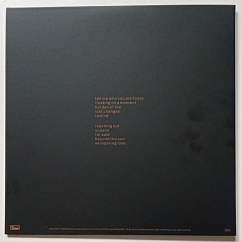 Пластинка Beth Gibbons – Lives Outgrown (Deluxe Edition) LP