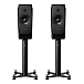 Полочная акустика Dynaudio Confidence 20A Space High Gloss - рис.0