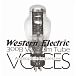Виниловая пластинка Western Electric - 300B Vacuum Tubes Voices LP - рис.0