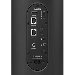 Напольная акустика Piega Ace 50 Wireless RX Black