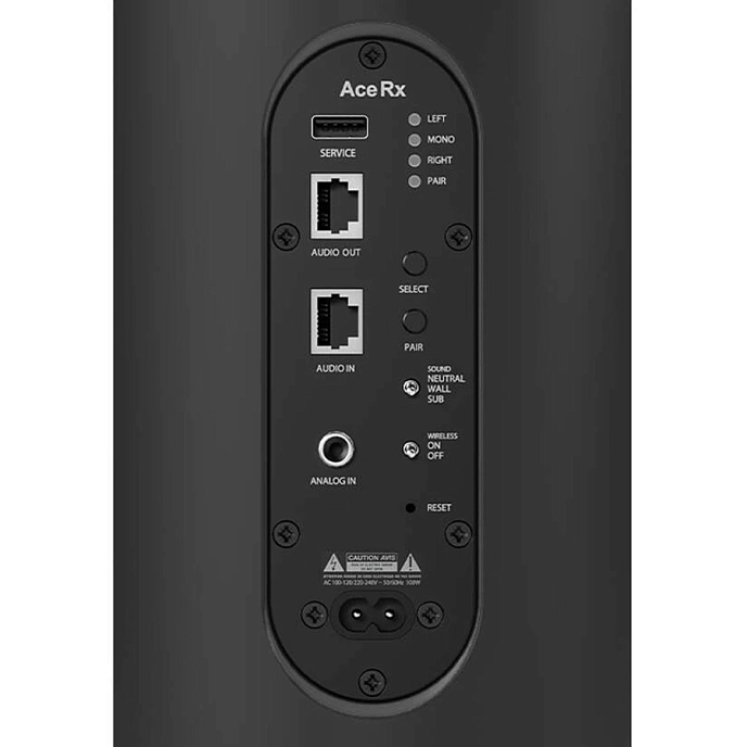Напольная акустика Piega Ace 50 Wireless RX Black - рис.1