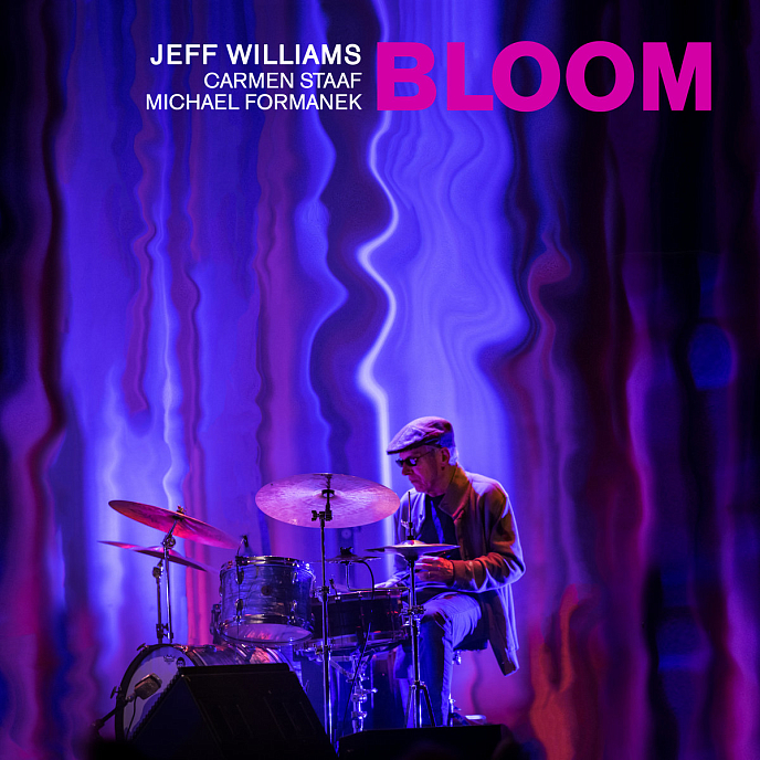 Виниловая пластинка Jeff Williams - Bloom LP - рис.0