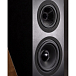 Напольная акустика Davis Acoustics The Pledge Walnut - рис.3