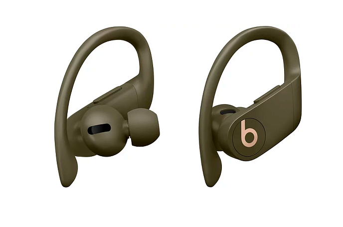 Беспроводные наушники Beats Powerbeats Pro Moss - рис.1