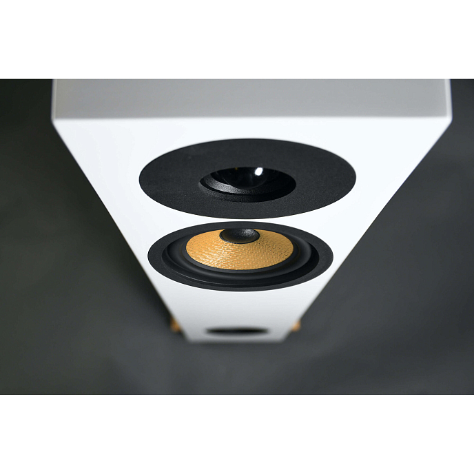 Напольная акустика Davis Acoustics Courbet N 4 White Matt - рис.5