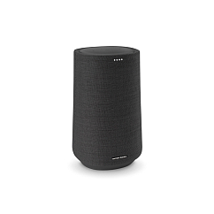 Портативная колонка Harman Kardon Citation 100 Black