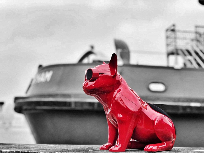Портативная колонка AeroSystem Aerobull XS1 Glossy Red - рис.7
