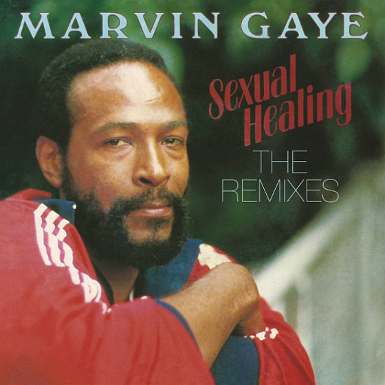 Пластинка MARVIN GAYE SEXUAL HEALING (THE REMIXES) LP - рис.0