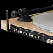 Проигрыватель винила Pro-Ject Juke BOX S2 Pick It 25A Eucalyptus - рис.2