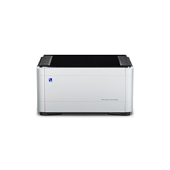 Усилитель мощности PS Audio BHK Signature 250 Silver