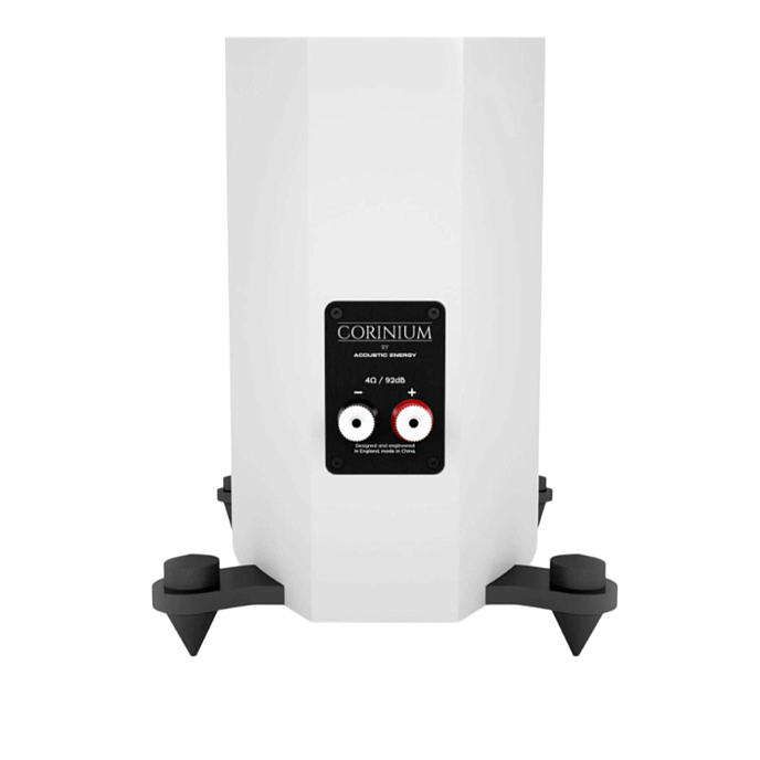 Напольная акустика Acoustic Energy Corinium Matte White - рис.7