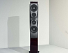 Напольная акустика Dynaudio Confidence 60 Ruby Wood High Gloss - рис.6