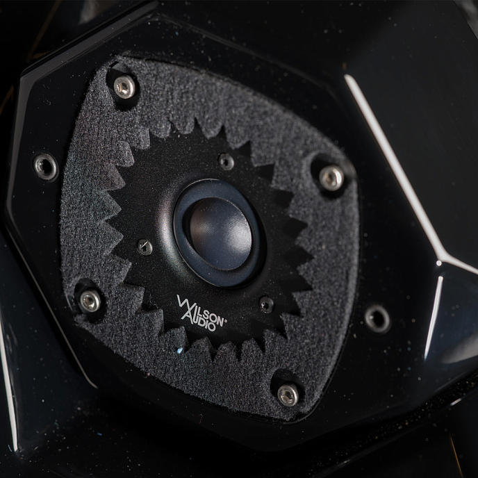 Центральный канал Wilson Audio Mezzo CS GT Silver - рис.3