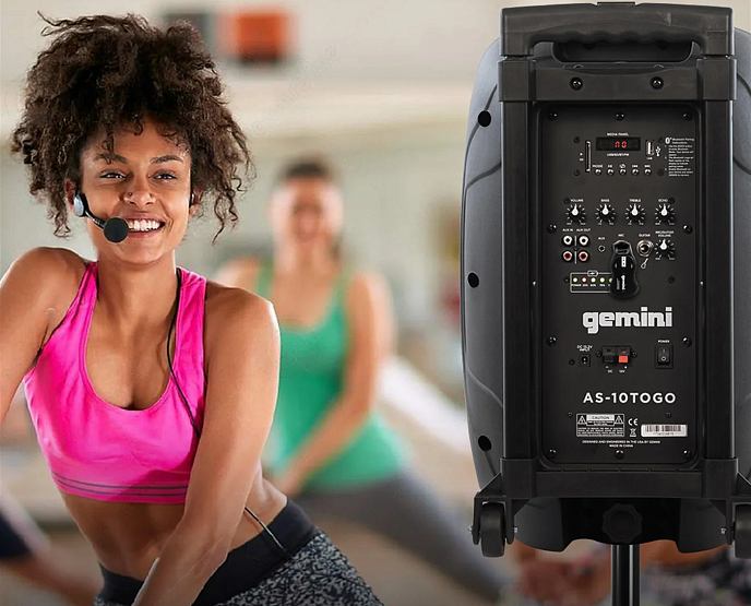 Акустическая система Gemini AS-10TOGO Black - рис.6