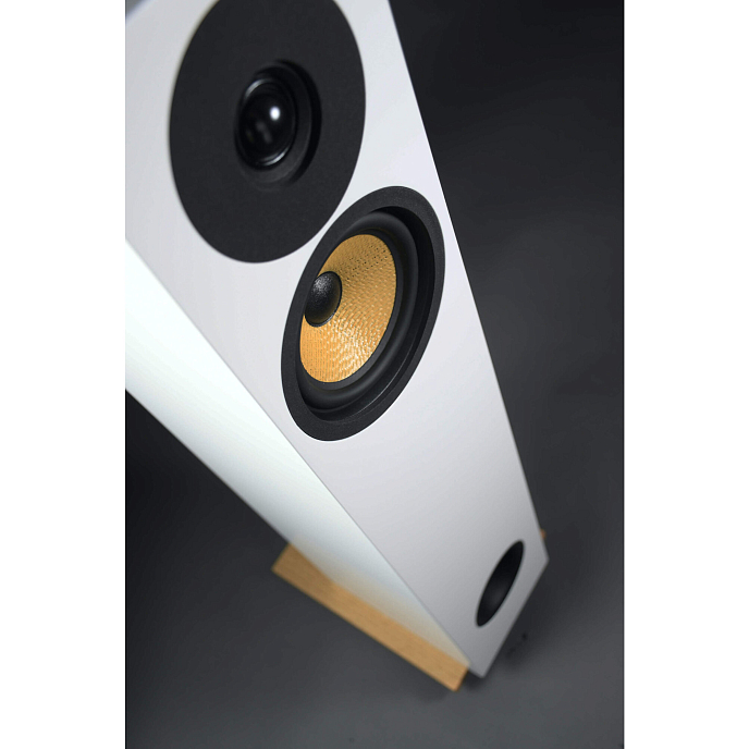 Напольная акустика Davis Acoustics Courbet N 4 White Matt - рис.3