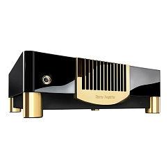 Усилитель мощности MBL N21 Stereo Power Amplifier Piano Black Gold