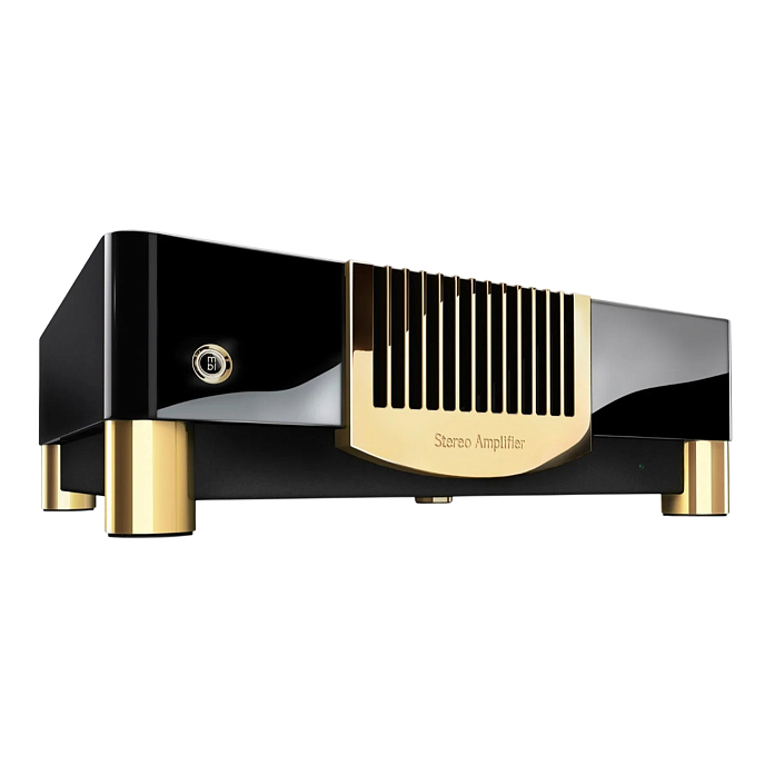 Усилитель мощности MBL N21 Stereo Power Amplifier Piano Black Gold - рис.0