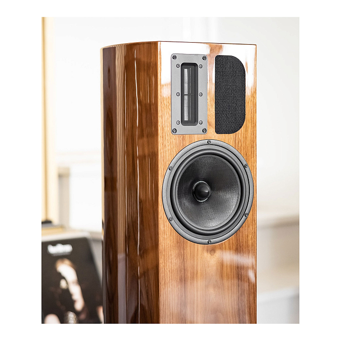 Напольная акустика Apertura Edena Evolution American Walnut - рис.7
