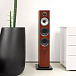 Напольная акустика Bowers & Wilkins 704 S2 rosenut - рис.6