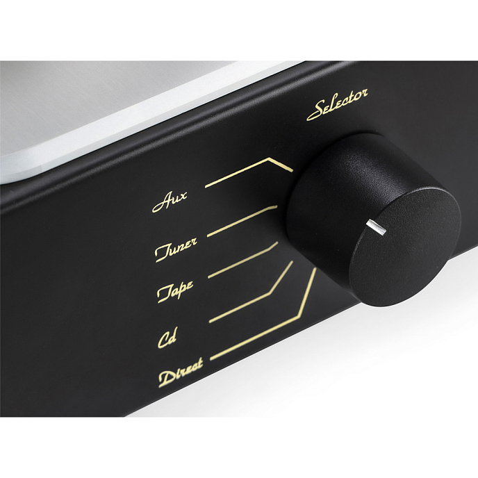 Интегральный усилитель Mastersound Evolution 845 Black Wood - рис.5