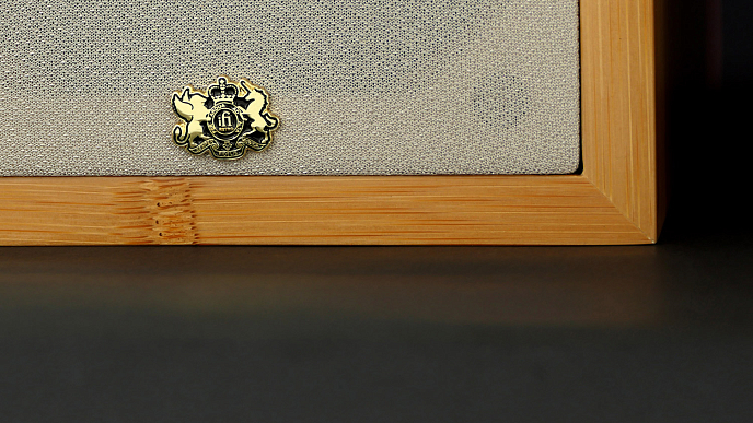 Интегральный усилитель iFi Audio RETRO STEREO 50 - рис.22