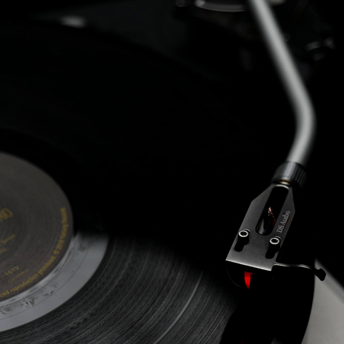 Звукосниматель DS Audio DS-W3 Cartridge Black - рис.5
