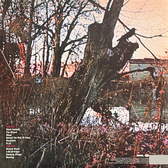 Виниловая пластинка Black Sabbath - Black Sabbath (180G) LP