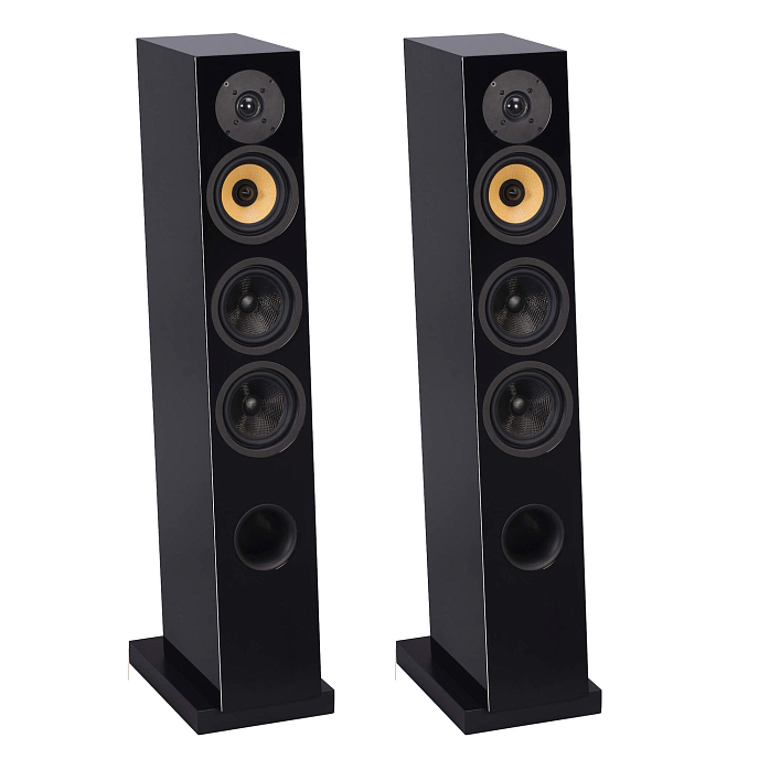 Напольная акустика Davis Acoustics Courbet N 5 Black - рис.0