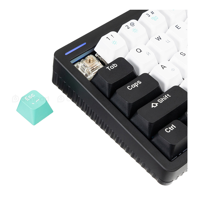 Клавиатура NuPhy Halo65 Baby Raccoon Matte Black - рис.1