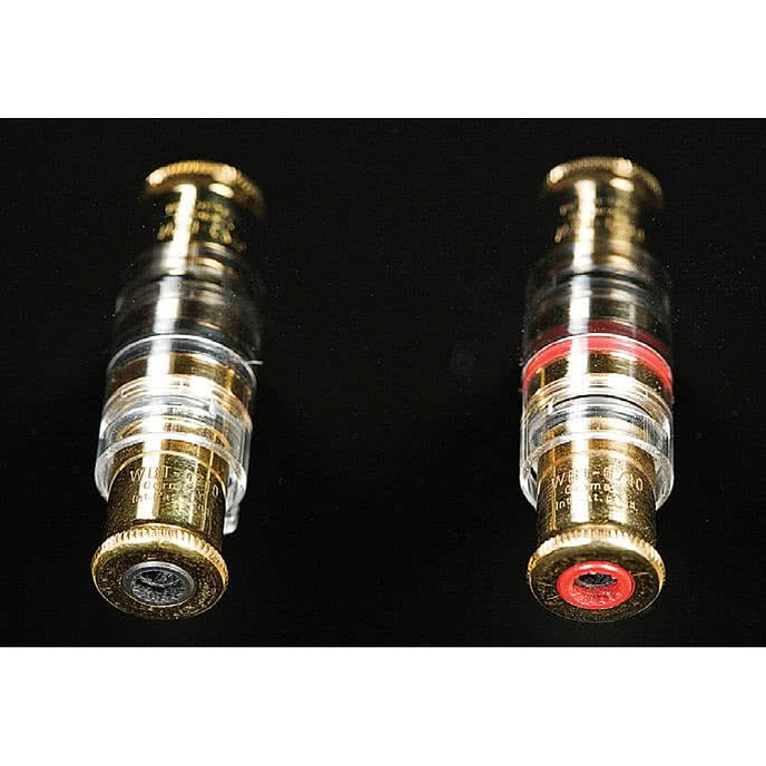 Напольная акустика Davis Acoustics MV One Master Bamboo - рис.7