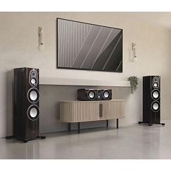 Напольная акустика Monitor Audio Platinum 300 3G Piano Ebony