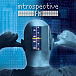 Виниловая пластинка Introspective F.M. - Introspective F.M. LP - рис.0