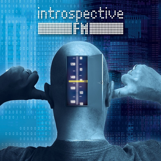 Пластинка Introspective F.M. - Introspective F.M. LP - рис.0