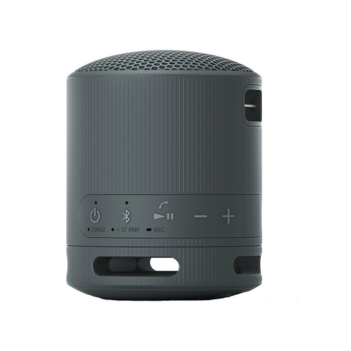 Беспроводная акустика Sony SRS-XB100 Black - рис.2