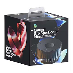 Умная колонка SberDevices SberBoom Mini 2 Quantum Black